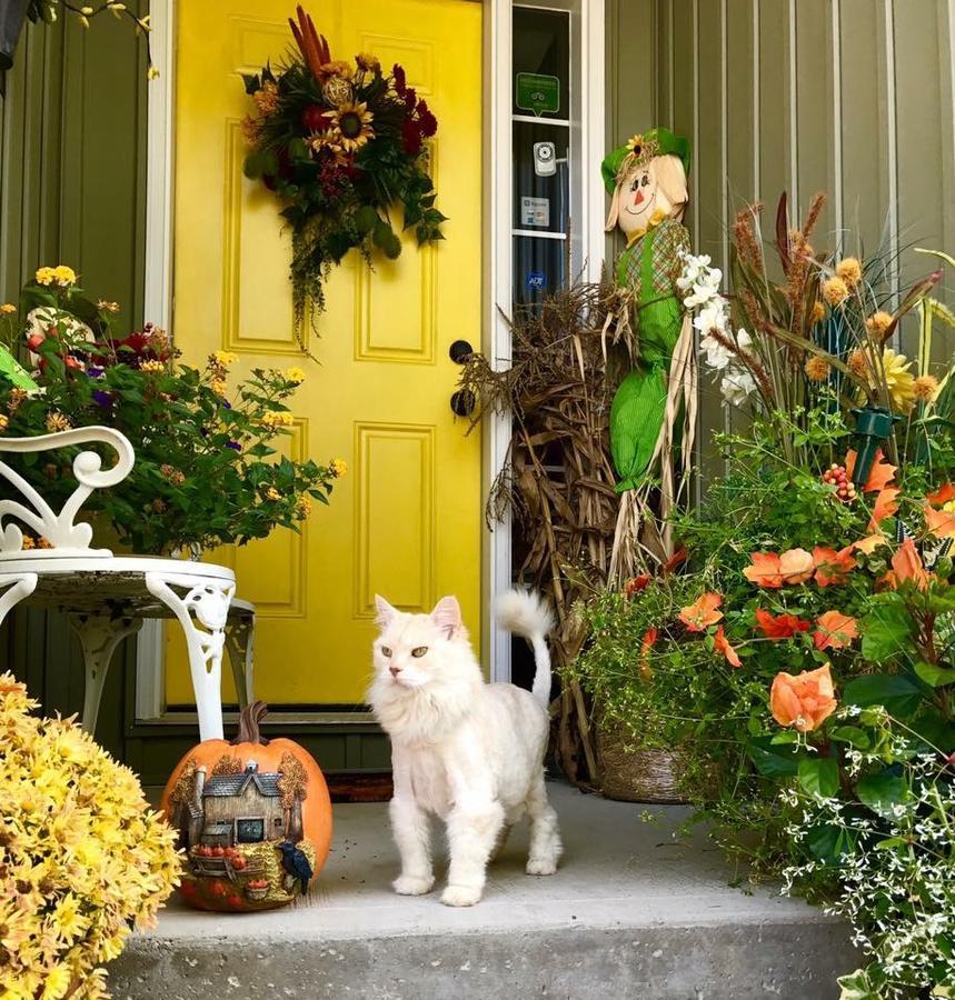 Yellow Door Bed And Breakfast Fort Erie Exteriör bild
